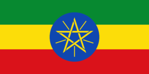 Ethiopia 2-Companies