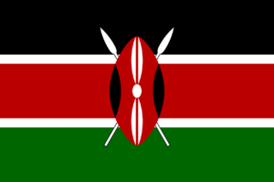 Kenya 14-Companies