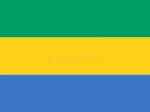 Gabon 1-Companie